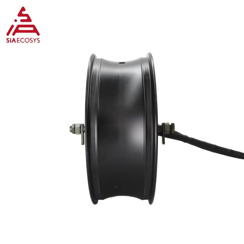 Motore Elettrico Brushless DC  - 12000W Electric Motorcycle Hub Motor recensione e prezzo