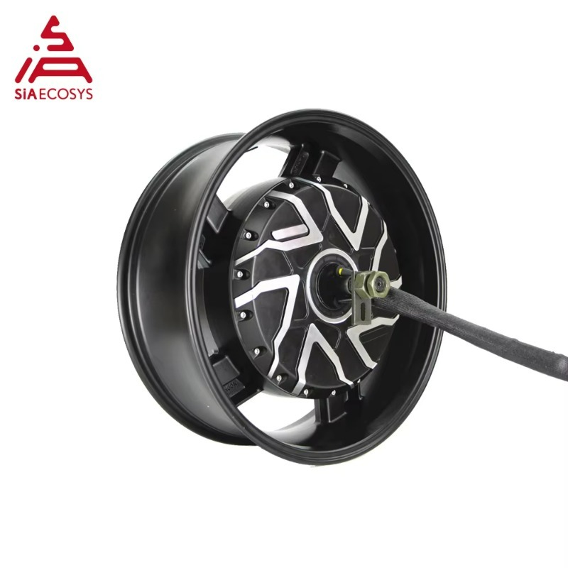 Motore Elettrico Brushless DC  - 12000W Electric Motorcycle Hub Motor recensione e prezzo