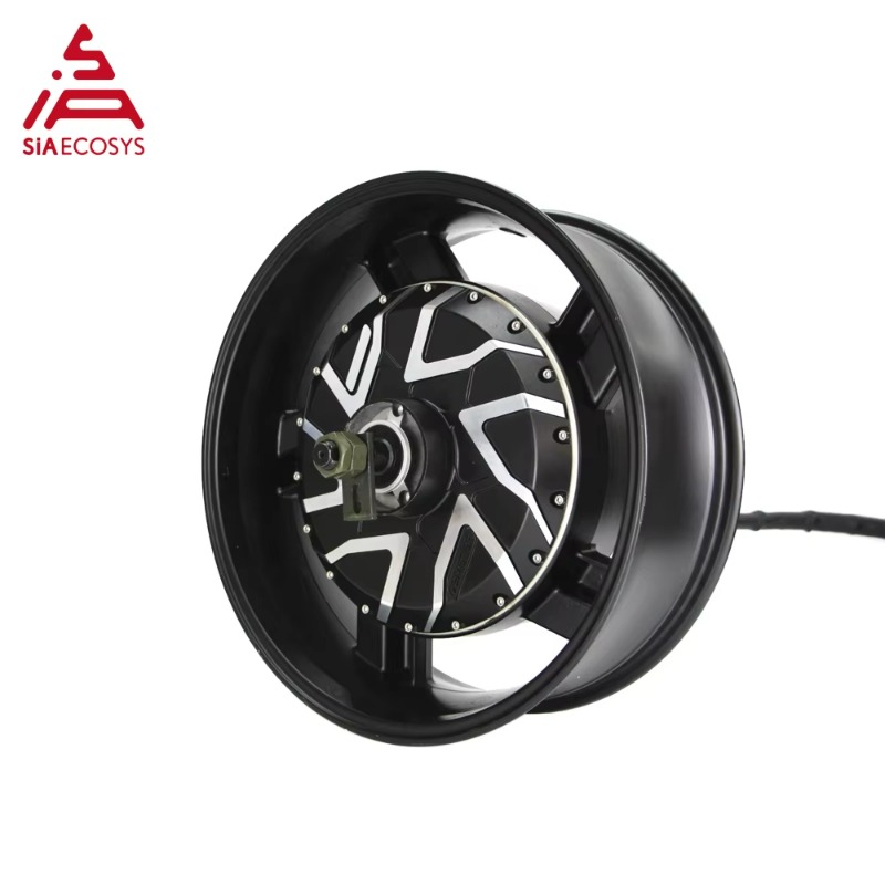 Motore Elettrico Brushless DC  - 12000W Electric Motorcycle Hub Motor recensione e prezzo